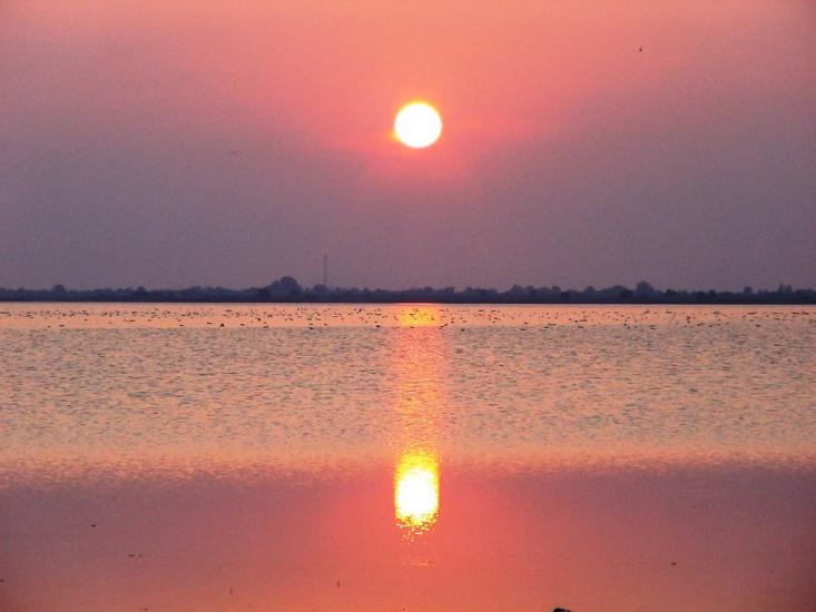 Роздольне з panoramio.com - Раздольное