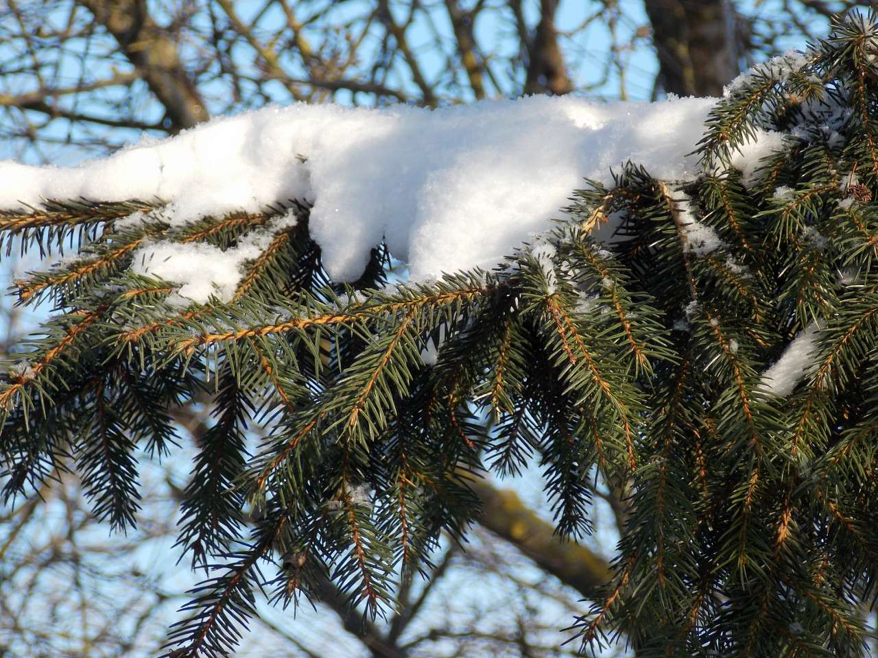 зима-2014 - Щенятин