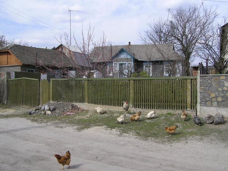 Ялтушків з panoramio.com - Ялтушків