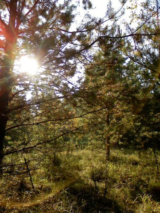Балико-Щучинка з panoramio.com - Балыко-Щучинка