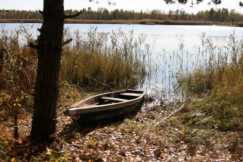 Жовтневе з panoramio.com - Жовтневе