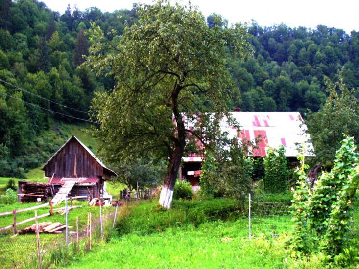 Лопухів з panoramio.com - Лопухов