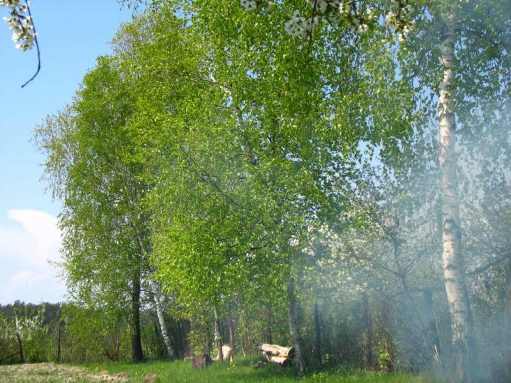 Понінка з panoramio.com - Poninka