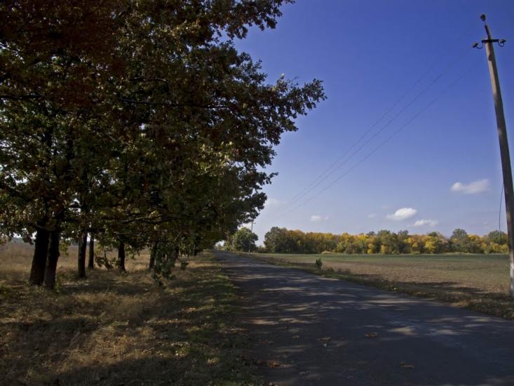 Новий Шлях з panoramio.com - Новий Шлях