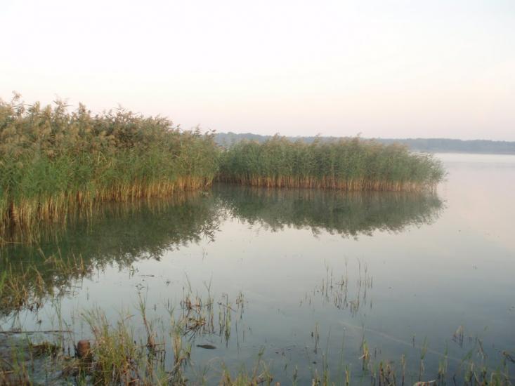 Чумаки з panoramio.com - Чумаки