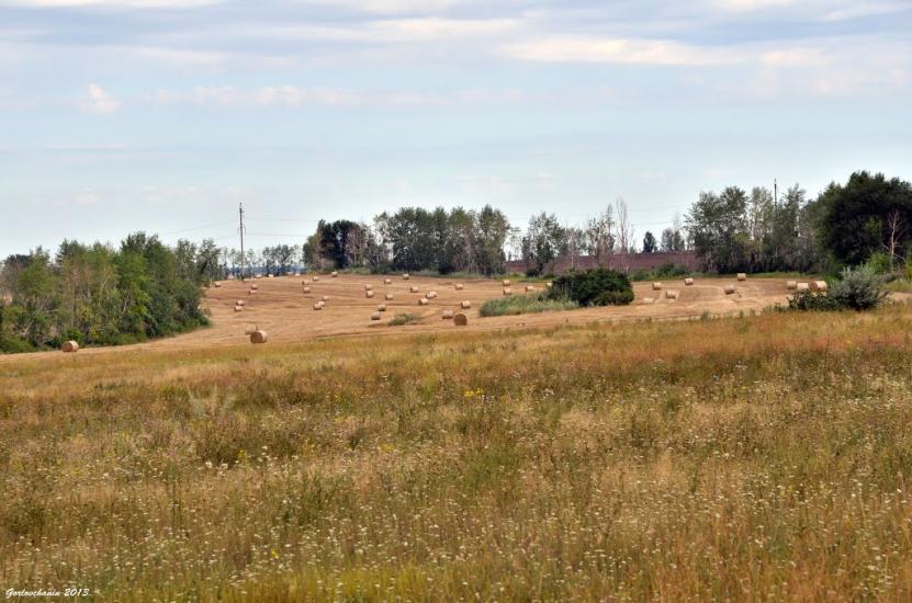 Суха Балка з panoramio.com - Суха Балка