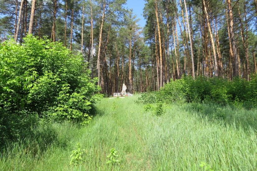 Хрещатик з panoramio.com - Крещатик