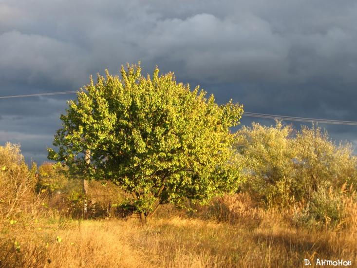 Інгулець з panoramio.com - Інгулець