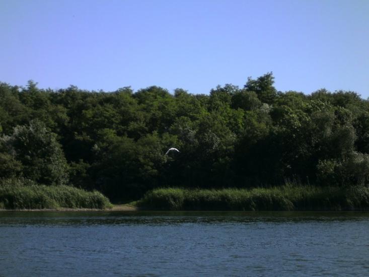 Павлопіль з panoramio.com - Павлопіль