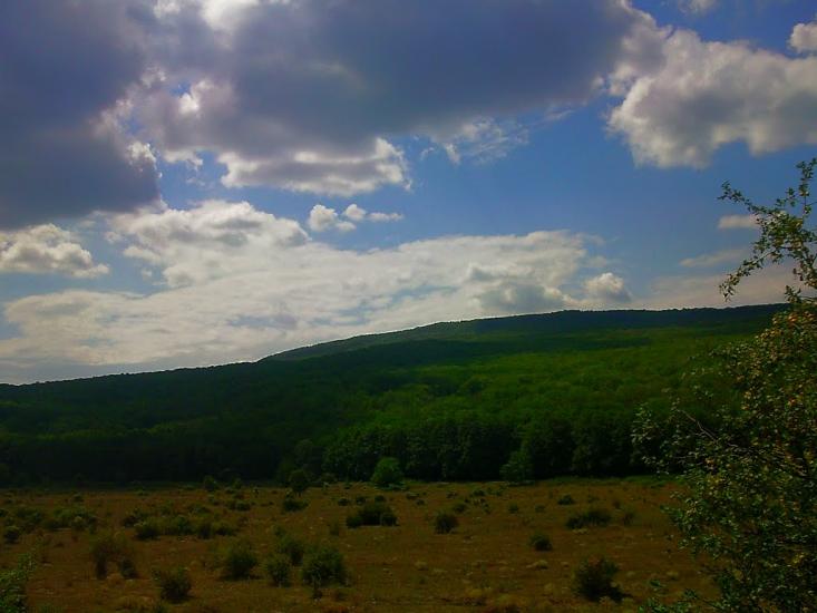 Синапне з panoramio.com - Синапне