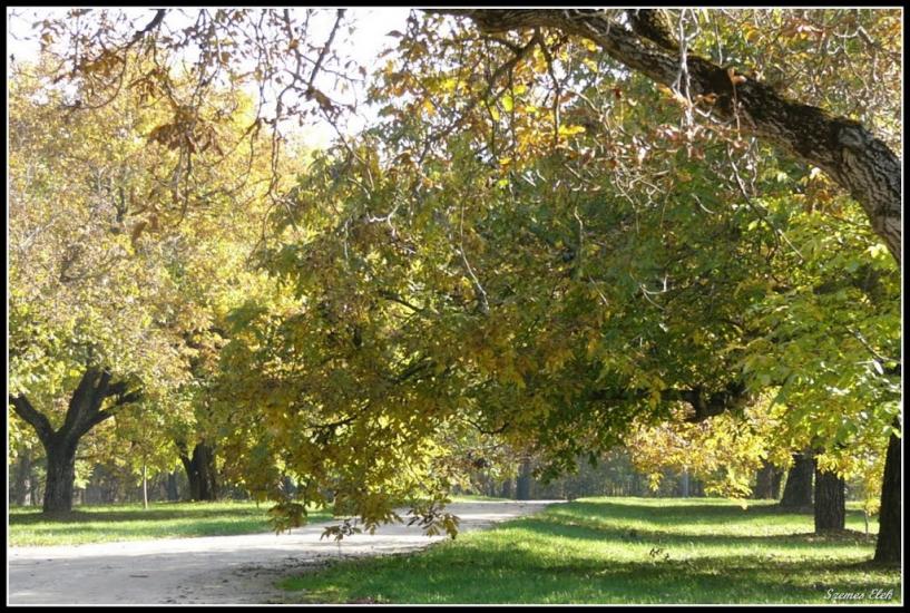 Галабор з panoramio.com - Galabor