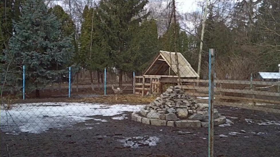 Березова Рудка з panoramio.com - Березовая Рудка