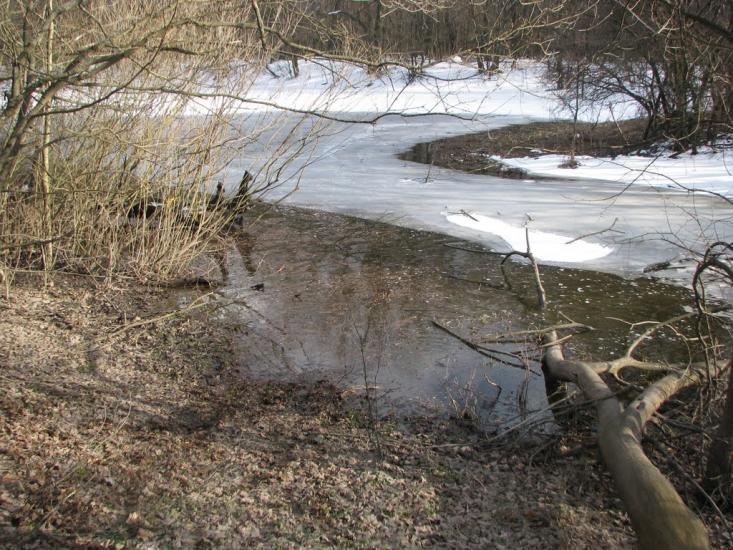 Кочережки з panoramio.com - Кочережки