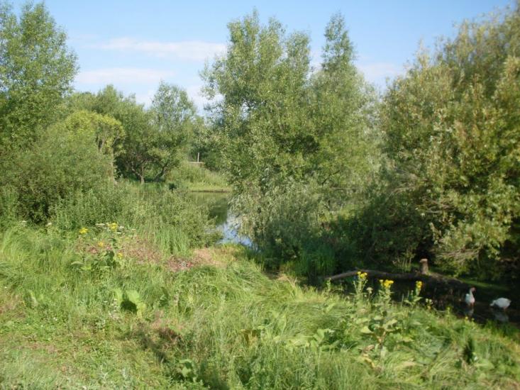 Харпачка з panoramio.com - Харпачка