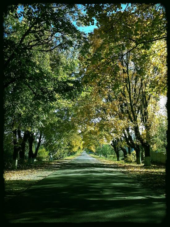 Велика Омеляна з panoramio.com - Велика Омеляна