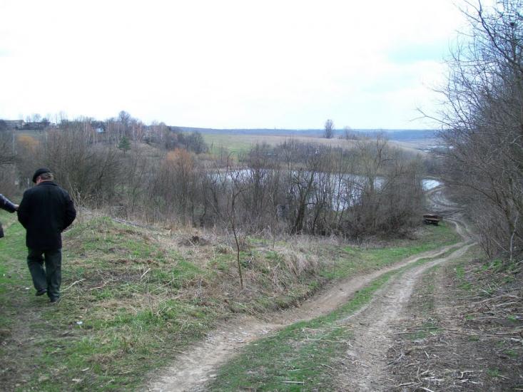 Вівсяники з panoramio.com - Вівсяники