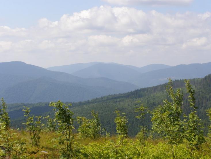 Ангелівка з panoramio.com - Ангелівка