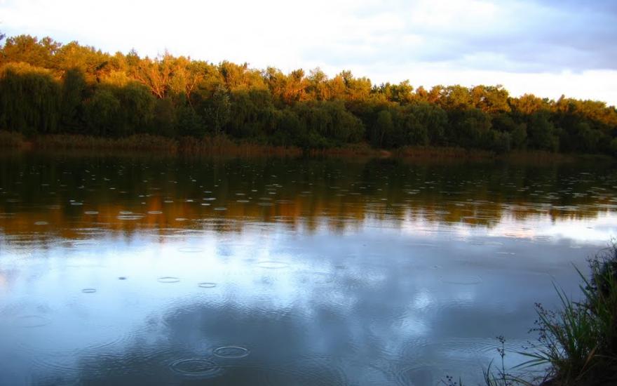 Кочережки з panoramio.com - Кочережки