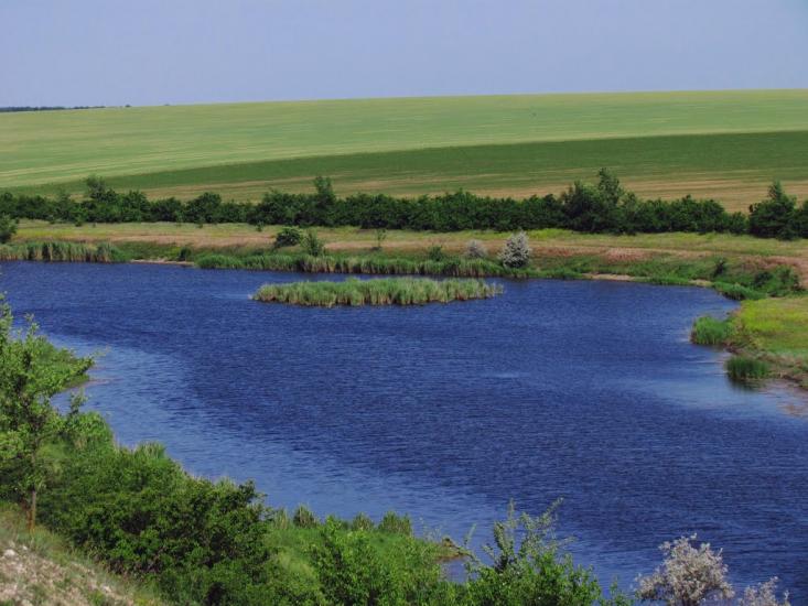 Володимирівка з panoramio.com - Володимирівка