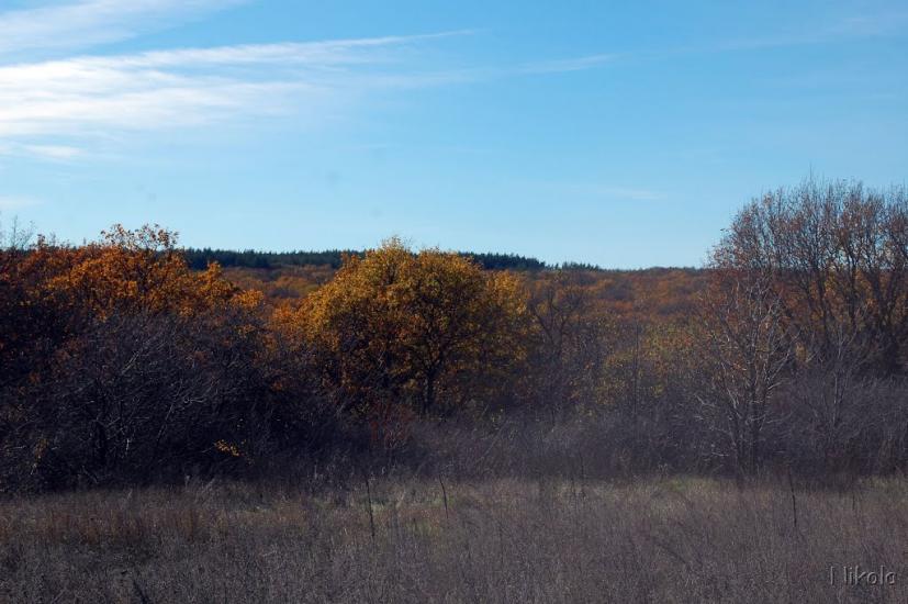 Кудряшівка з panoramio.com - Кудряшовка