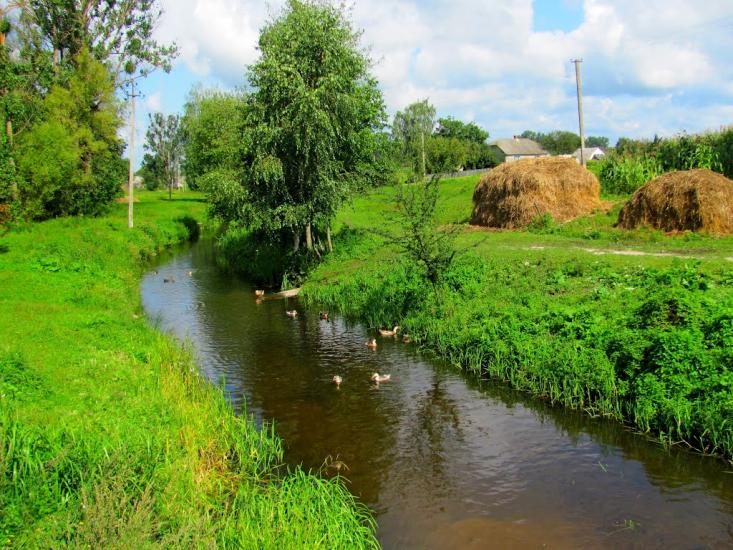 Четвертня з panoramio.com - Четвертня