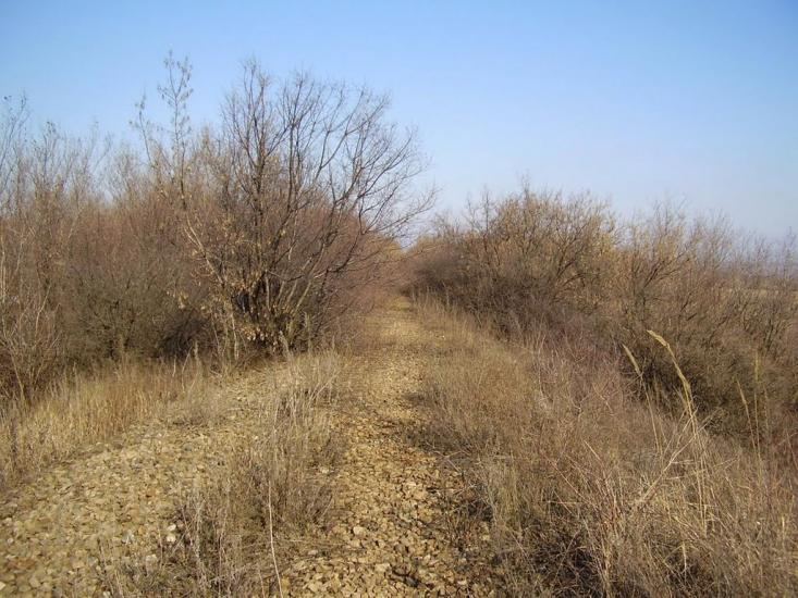 Весняне з panoramio.com - Весняное