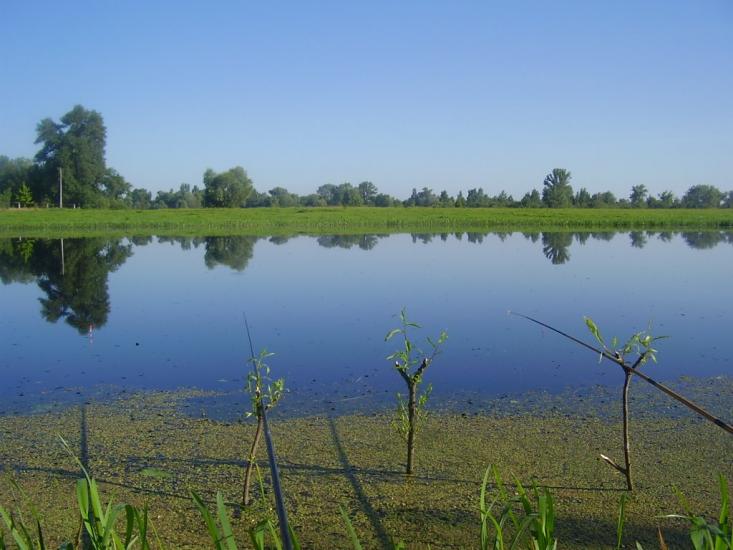 Вища Дубечня з panoramio.com - Высшая Дубечня