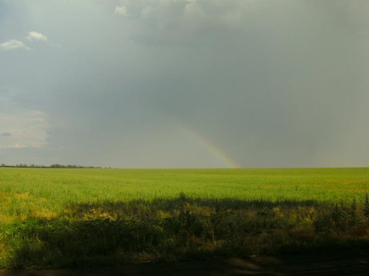 Павлопіль з panoramio.com - Павлопіль