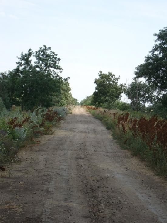 Орлівка з panoramio.com - Орлівка