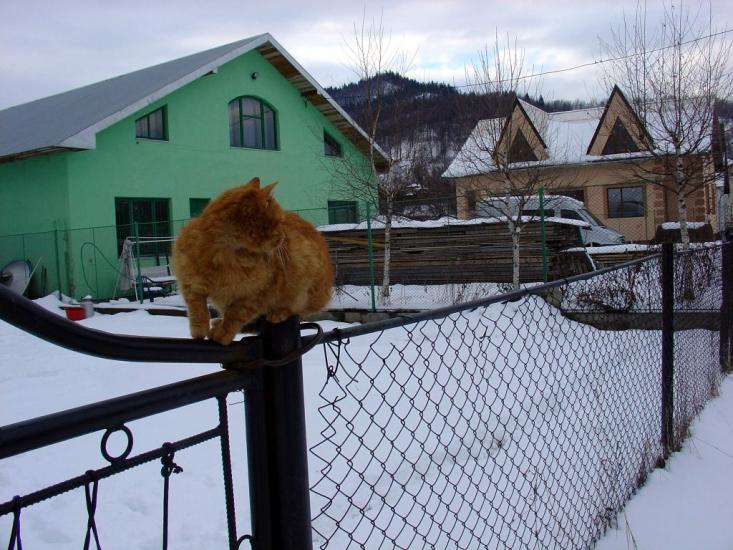 Кути з panoramio.com - Kuty