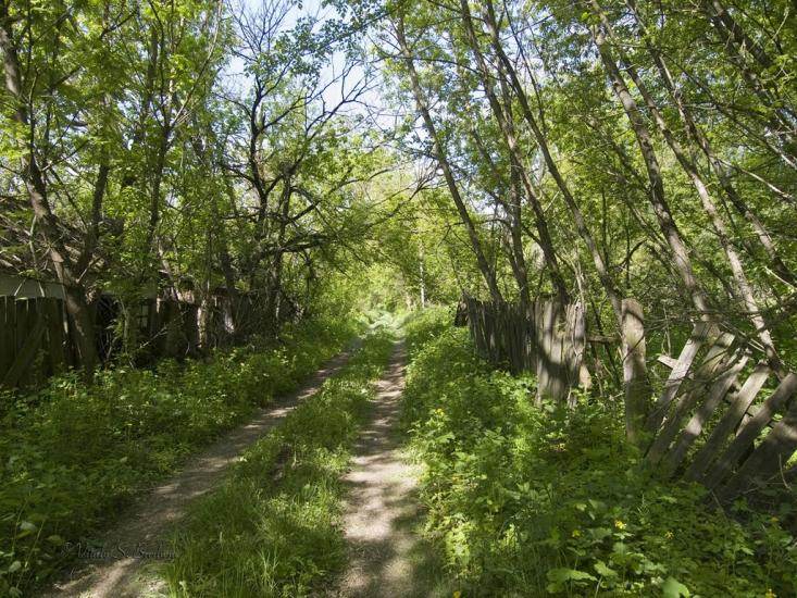 Дитятки з panoramio.com - Дитятки