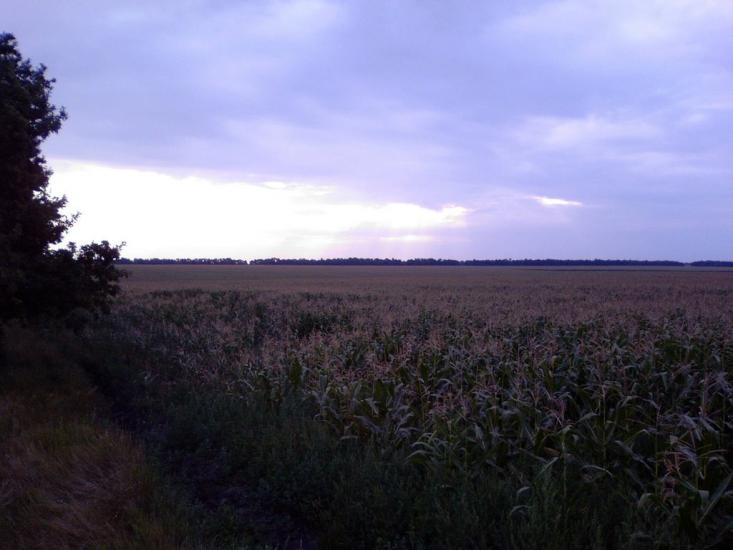 Мілова Балка з panoramio.com - Меловая Балка