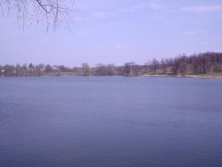 Шаліївка з panoramio.com - Шаліївка