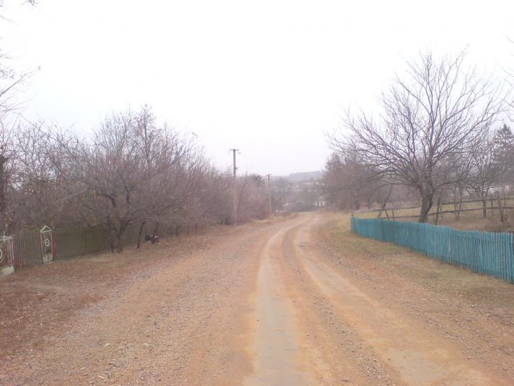 Бузникувате з panoramio.com - Бузникувате