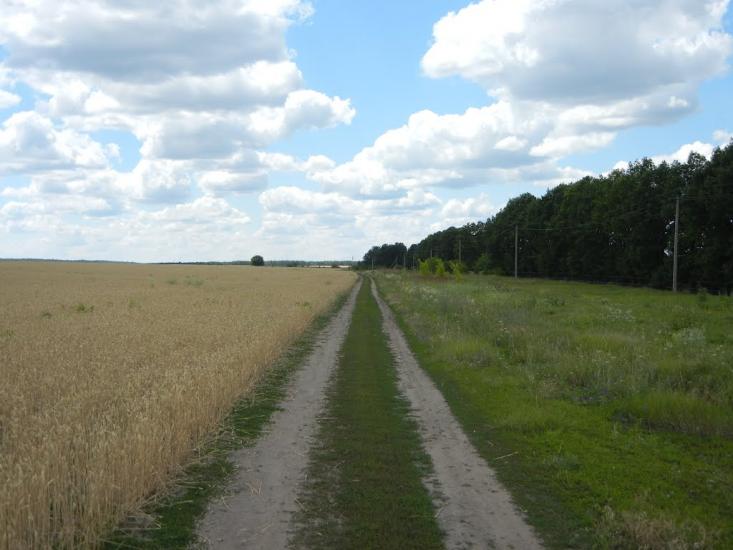 Введенка з panoramio.com - Введенка