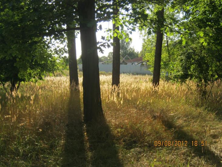 Короп з panoramio.com - Короп