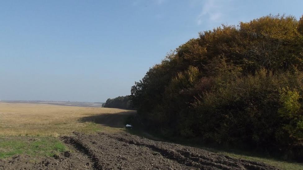 Лаврів з panoramio.com - Лавров
