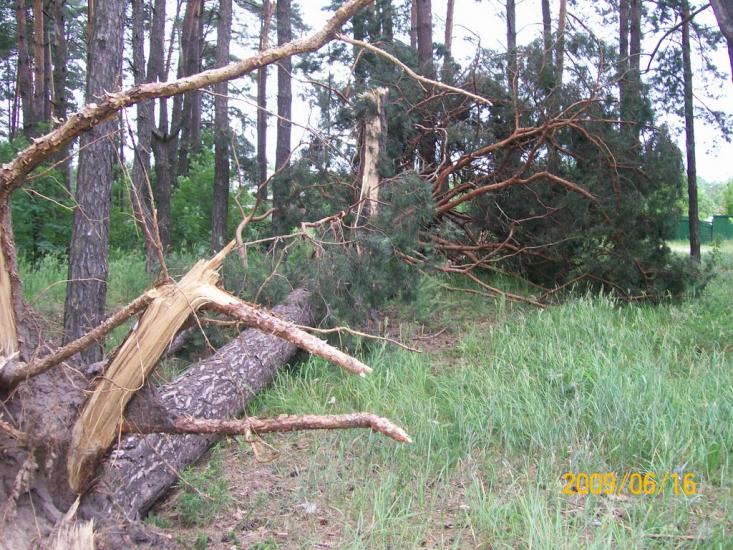 Вища Дубечня з panoramio.com - Высшая Дубечня