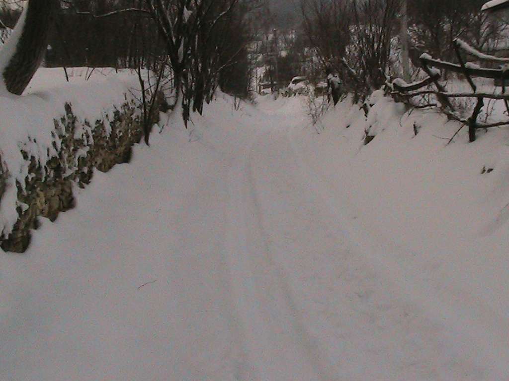 РІДНЕ СЕЛО - Болган