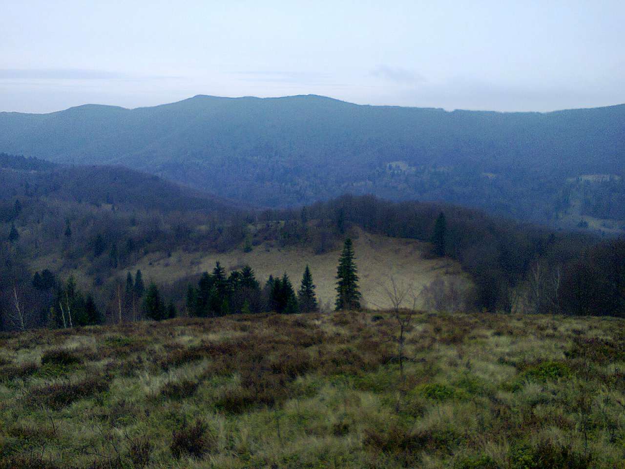 Кіндратів - Кіндратів