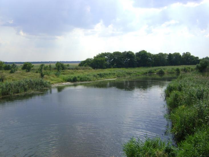 Комар з panoramio.com - Комар