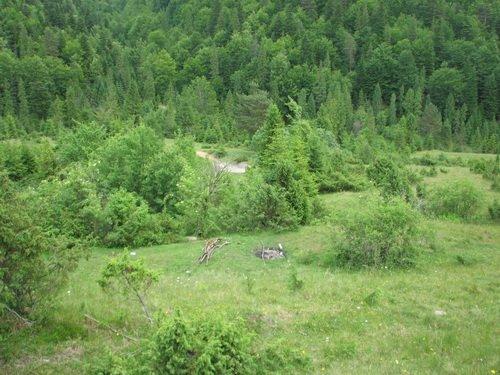 Старий Мізунь з panoramio.com - Старый Мизунь