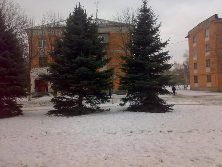 Лиман з panoramio.com - Lyman