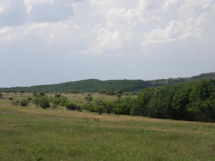 Айдар-Миколаївка з panoramio.com - Айдар-Николаевка