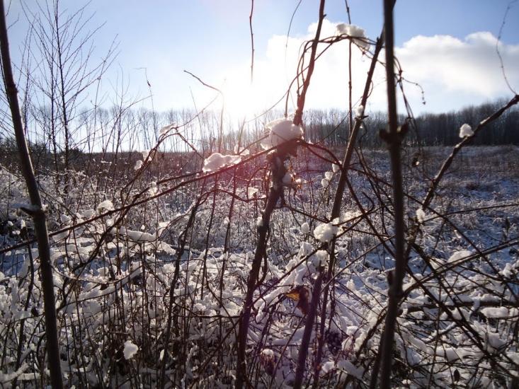Красилів з panoramio.com - Красилів