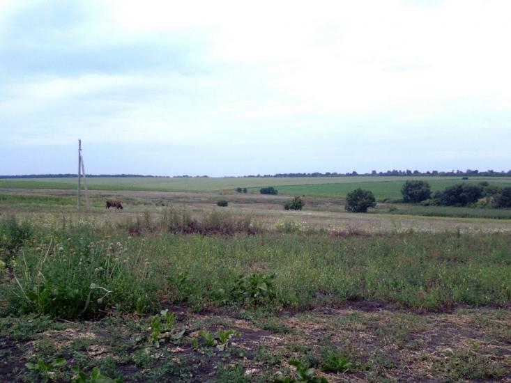 Мілова Балка з panoramio.com - Меловая Балка