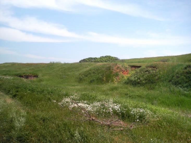 Лупареве з panoramio.com - Лупарево