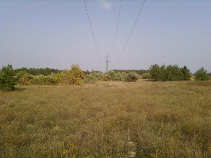 Солонці з panoramio.com - Солонцы