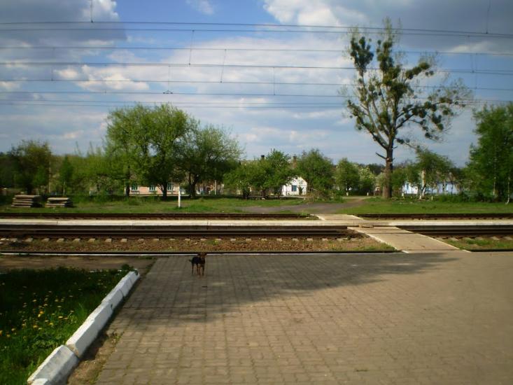 Дерно з panoramio.com - Дерно