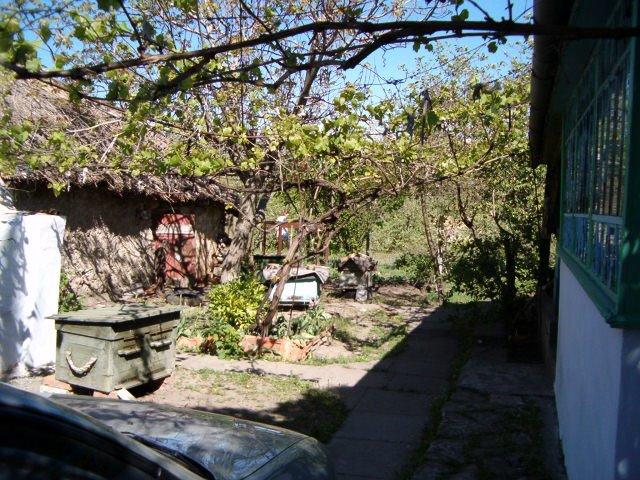 Покровка з panoramio.com - Покровка